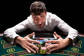 Panel dashboard wayang79 menampilkan saldo akun dan akses cepat ke Skor Langsung, sportsbook, live dealer, dan slot